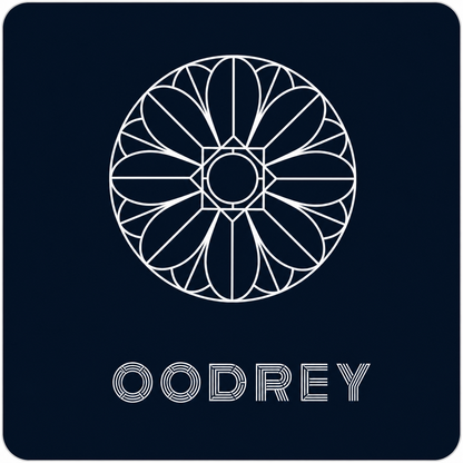 OODREY 光 #1 / Light #1 calligraphy art T-shirt, navy — product and styling image 8